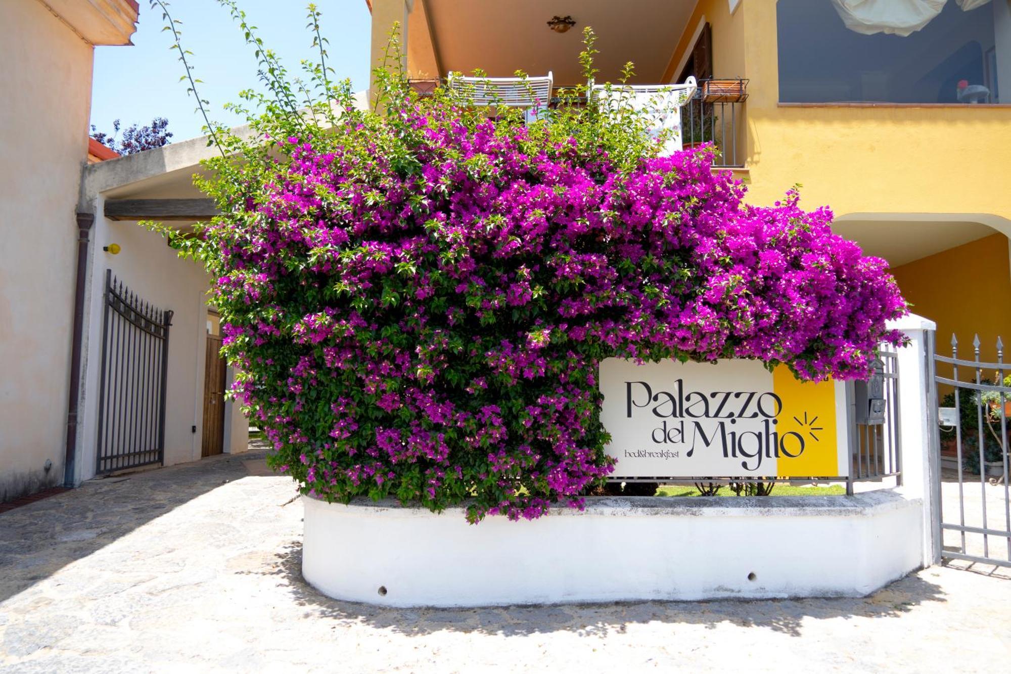 Palazzo Del Miglio Bed & Breakfast Belvedere Marittimo Exterior photo